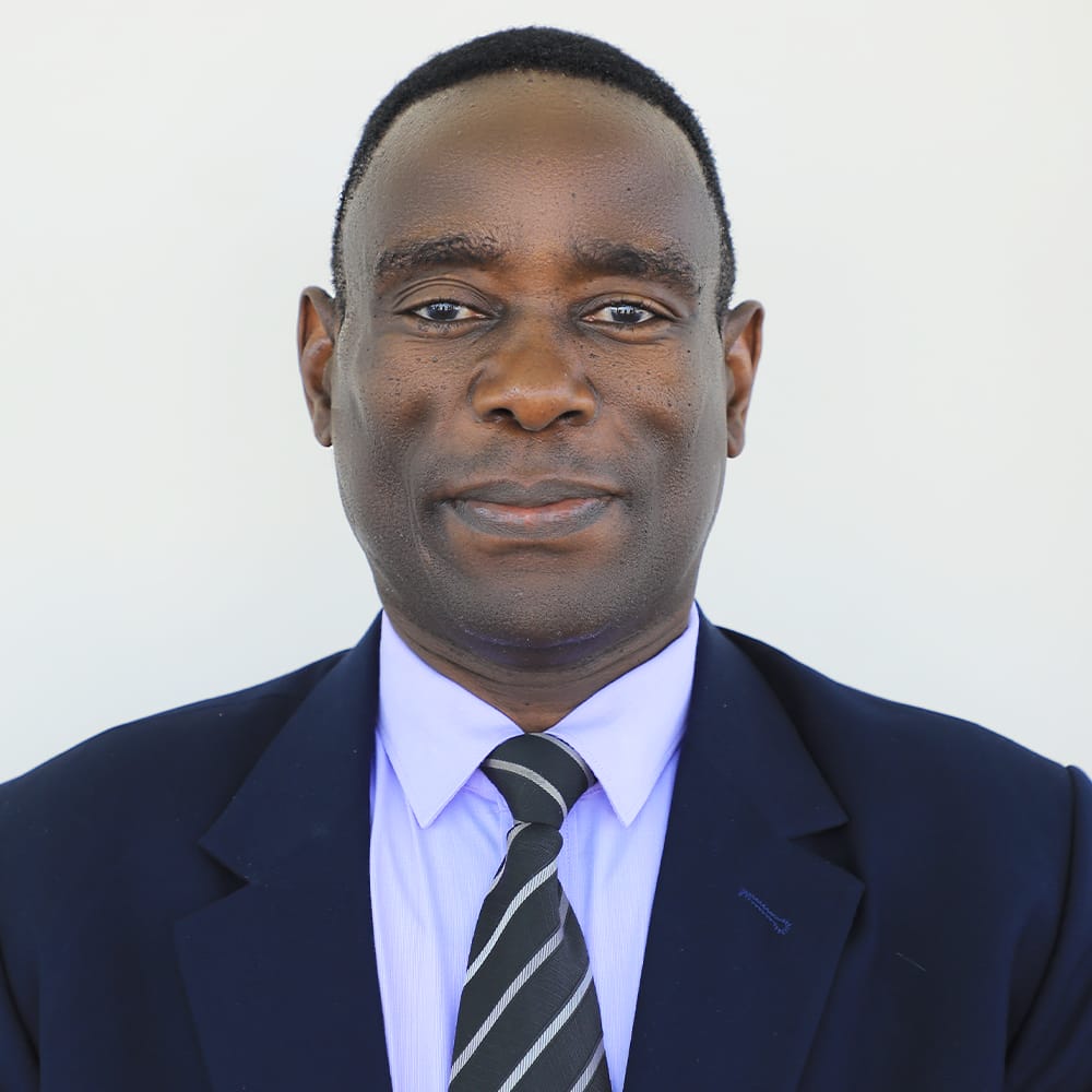 Prof. Appolinary A. R. Kamuhabwa